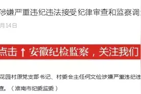 安徽寿县何文俭：挪用公款400万 用于自家电器公司经营、侵吞征地补偿款和集体资金进自己口袋图片