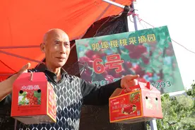 渭南临渭区：满坡樱桃争春红  郭壕村里迎亲朋图片