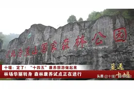 定了！十堰“十四五”康养旅游做起来图片