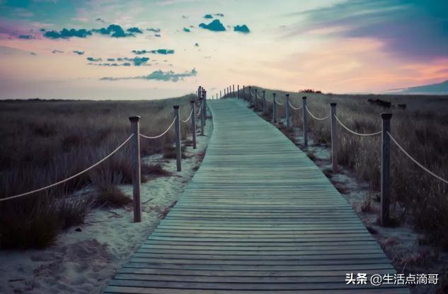 长风破浪会有时，直挂云帆济沧海：60句励志古诗，燃起你的斗志