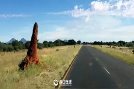 机械能转化的妙用：世界上最快的攻击速度图片