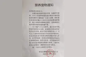 一小区全面禁养宠物！网友激烈争论：物业有权吗？图片