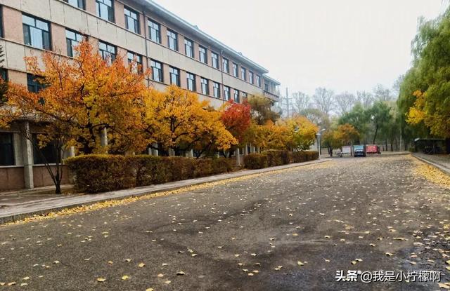 大庆师范学院