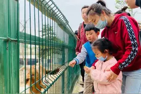 西安世博园观景、游玩全攻略来了！图片