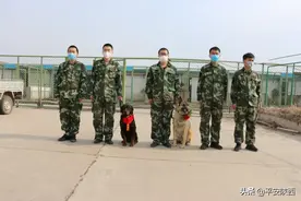 两位“战友”的特殊退役仪式 ——府谷公安两条警犬正式退役图片