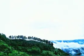 「乡土长篇小说连载」越过那道山梁58图片