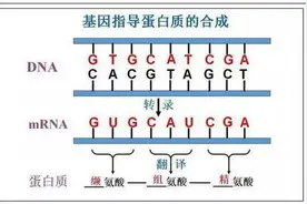 高中生物1000个基础选择题，涵盖高中三年全部考点，高考生物80+图片