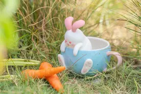 星巴克再出全新秋季月兔星杯！兔子卖萌的包装设计太绝了图片