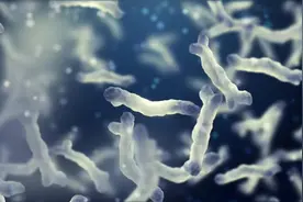 用双歧杆菌对抗顽固腹泻，来看看这些临床效果图片