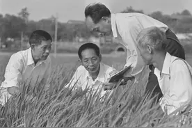 世界粮食日，“两弹一星”让中国不再挨打，袁隆平让中国不再挨饿图片