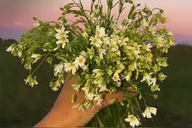 22岁女研究生校内车祸离世，这个说法到底应该谁给？图片