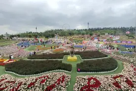 成都音乐百花谷，这里的花开得正艳图片