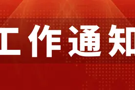 国家知识产权局办公室关于加强专利导航工作的通知图片