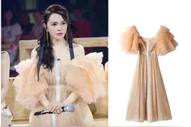 姐姐公演穿啥丨宁静穿高定，伊能静礼服甜美质感却不敌双王大牌裙图片