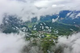 7元一颗的兰溪杨梅，如何种出来的？记者带你探寻背后的数字密码图片