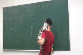数学课上，老师带猫咪来当助教，结果猫咪趴在老师肩上扭动狂蹭图片