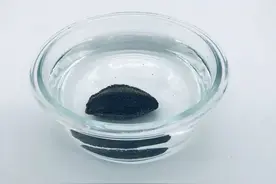 加拿大海参如何泡发？图片