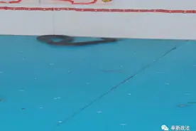 惊魂！奉新一幼儿园内出现一条一米多长的眼镜蛇图片