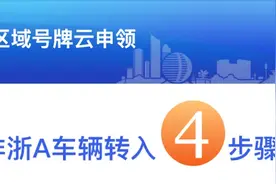 区域号牌云申领 交警蜀黍来支招图片