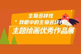 生物多样性 | “我眼中的生物多样性”主题绘画优秀作品展图片