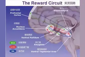 成瘾机制 | 从虚度光阴到自律上瘾，我只做对了一件事图片