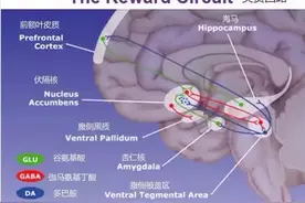 成瘾机制 | 从虚度光阴到自律上瘾，我只做对了一件事图片