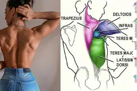 最美背肌如蝴蝶绽放，但练成“熊背”的人也不少图片