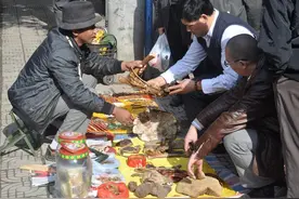 揭秘地摊骗术，真虎骨究竟长啥样？商贩卖的假虎骨是如何制成的？图片