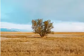 景色正美！秋天这么拍教你快速出圈图片