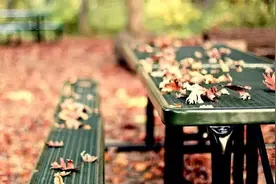 哪种性格的人最需要引起注意重视图片