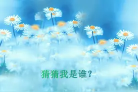 儿童绘画教程——猜猜我是谁？（色彩锻炼）图片
