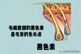 #安心变美课堂##我的安心变美推荐# 夏日脱毛还也能美白！？图片