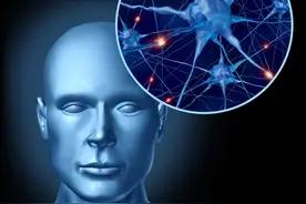 十六篇Nature重磅发布大脑运动皮层细胞图谱图片