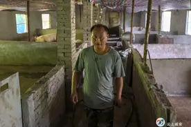 家家户户发展小产业 这个昔日穷村火了图片