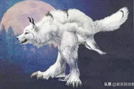 农村老人常说“狼狈为奸”，狈这种动物真存在吗？狼和狈啥关系？图片