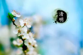 切肤之痛，子欲养而亲不在图片