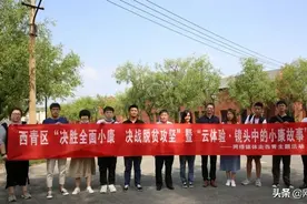 镜头中的小康故事 | 西青区精武镇小卞庄村打造常青藤国际艺术小镇图片