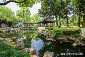 江南春天！图片