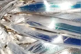 带鱼为什么不能人工养殖，而且只卖死鱼不卖活鱼，看完涨知识了图片