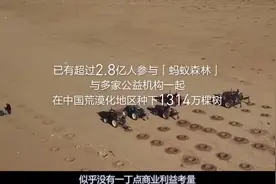 在支付宝种树是帮马云存钱？蚂蚁森林做公益是其不想说的财富密码图片