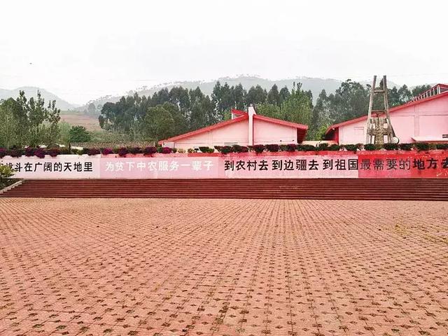 西昌知青博物馆开馆10周年，穿越历史时空与青春对话