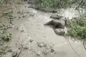 七旬老人半身陷入沼泽，背后营救惊心动魄！图片
