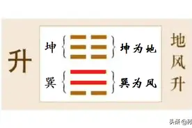 柔以时升：扎根于下，顺时而为；进德修业，步步高升图片