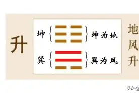 柔以时升：扎根于下，顺时而为；进德修业，步步高升图片