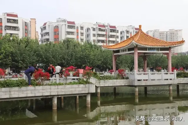 当深圳地名遇到生僻字