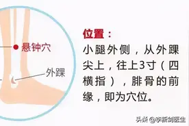 八会穴八穴总结篇图片