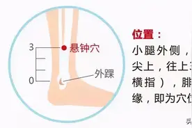 八会穴八穴总结篇图片