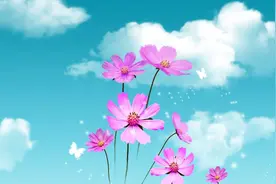 女人，千万不要活得太廉价图片