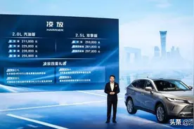 认准这两条 一汽丰田凌放咋选你最懂图片