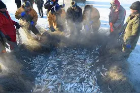 呼伦湖：40年的“宝藏渔场”，中国下一个赛湖？图片